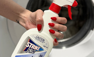 How to Remove Mould from Your Lunch Bag