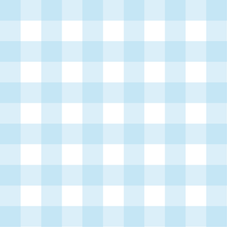 Blue Gingham