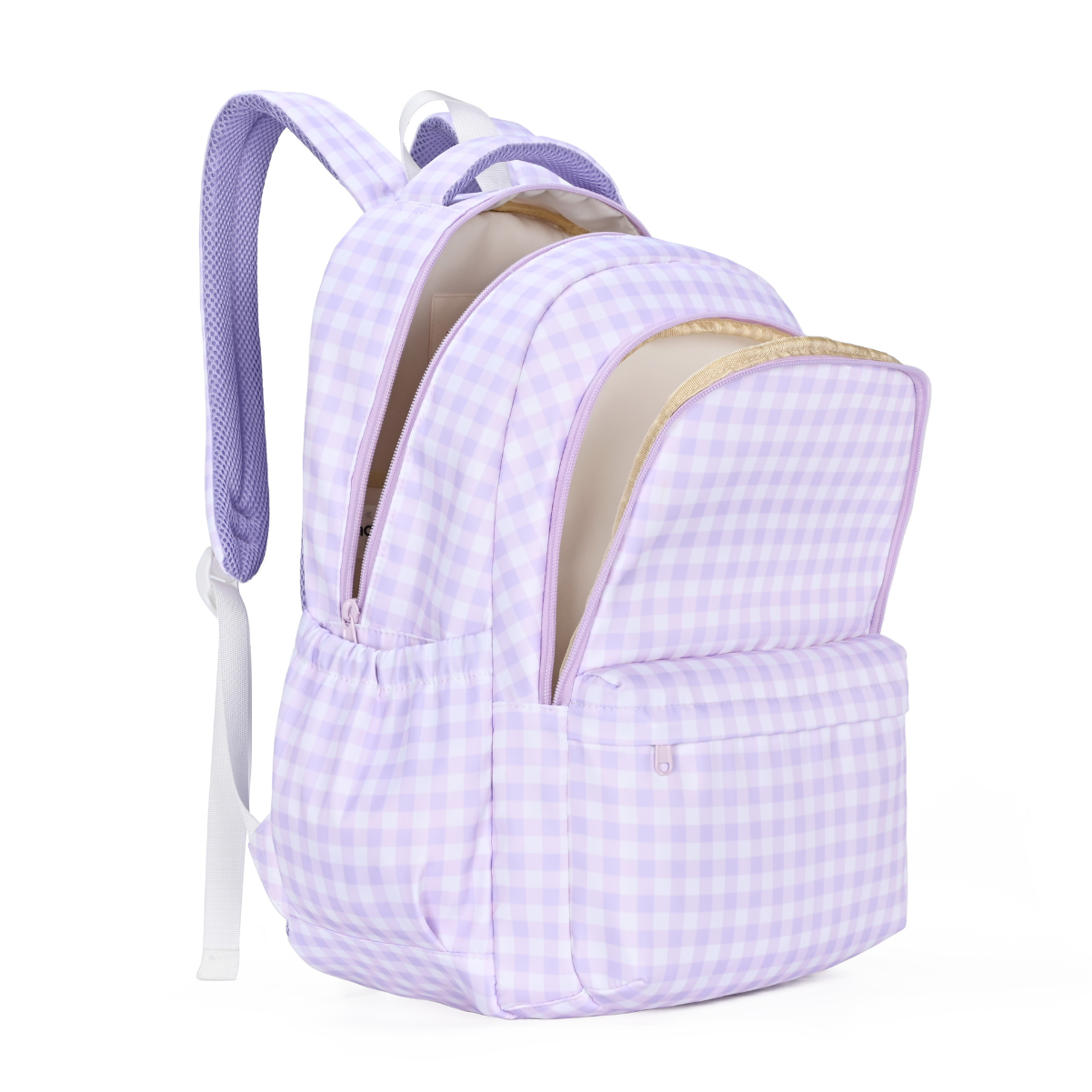 lilac-gingham-campus_3.png